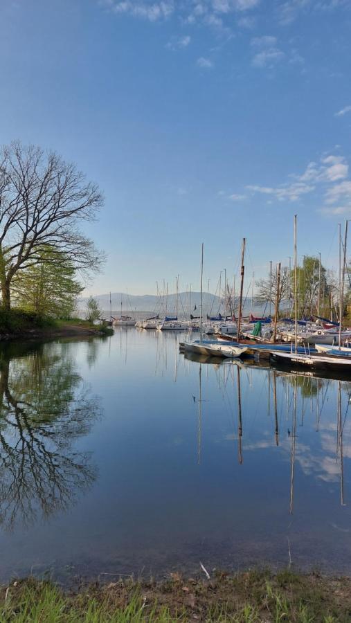 Laguna24 Jezioro Zywieckie Klimatyzowany Apartament 40 M2 Zarzecze  Buitenkant foto